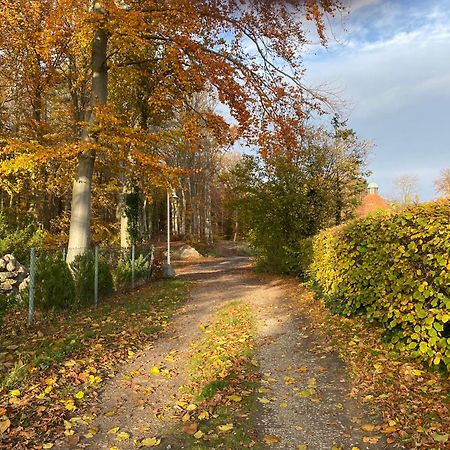 Parkresidenz Concordia Sellin Wohnung 12 Mit Sauna Und Terrasse Zewnętrze zdjęcie